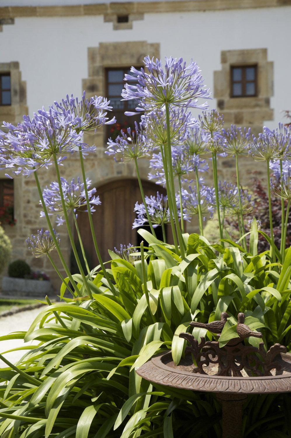 Casona de San Pantaleón de Aras Hotel Exterior foto